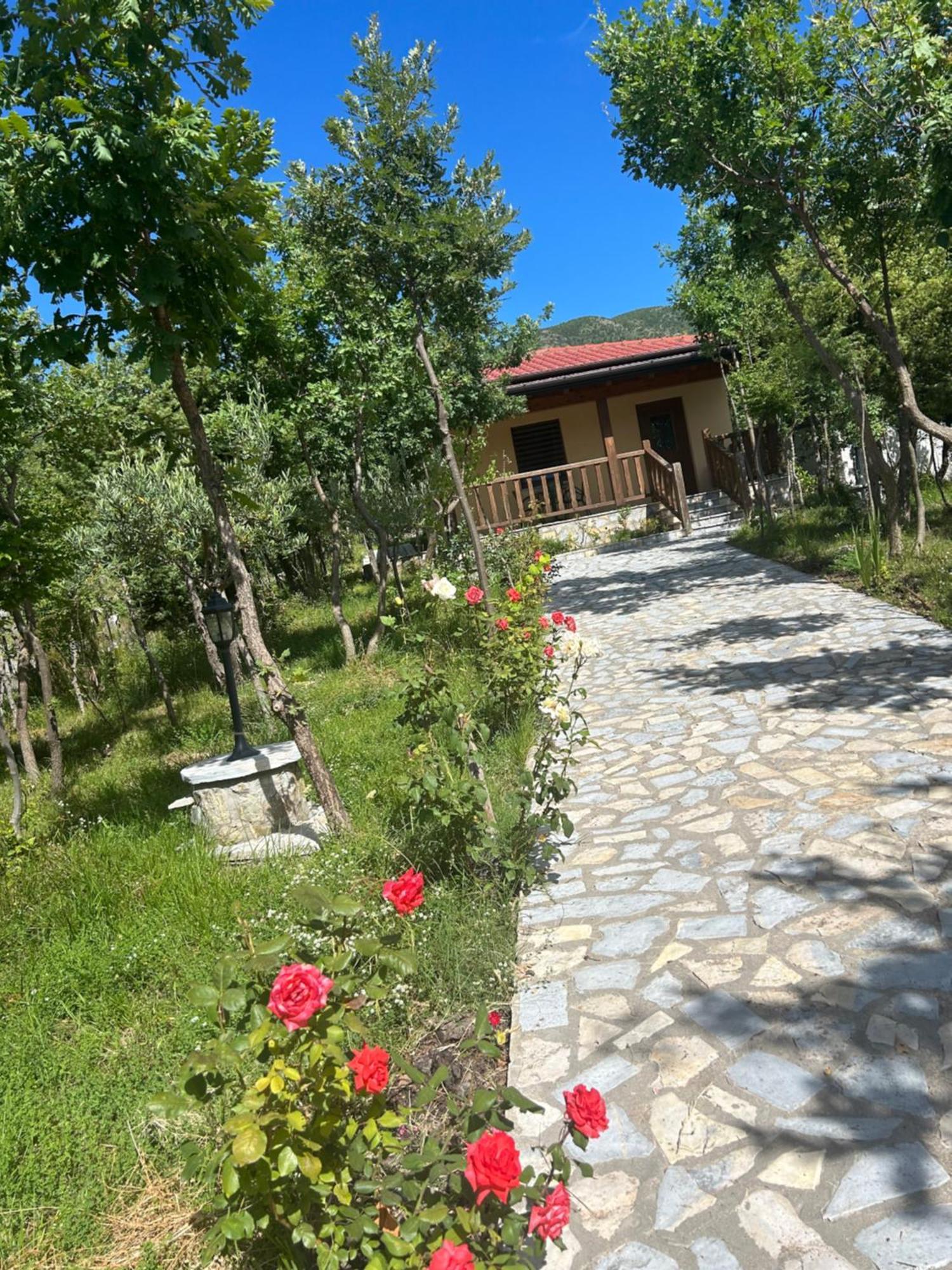 Hani I Leks Agroturizem Αλέσιον Εξωτερικό φωτογραφία